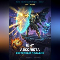 Ли Мэй. Векторный Паладин: Щит Абсолюта