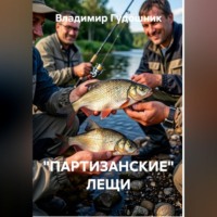 Владимир Савельевич Гудошник. 