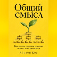 Айртон Кос. Общий смысл. Как личное развитие помогает меняться организациям