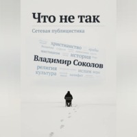 Владимир Соколов. Что не так