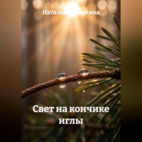 Наталья Первухина. Свет на кончике иглы