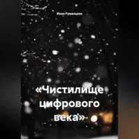 . «Чистилище цифрового века»