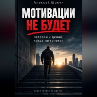 Шокун Алексей. Мотивации не будет. Вставай и делай, когда не хочется