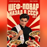 Юрий Пионеров. Повар. Назад в СССР 85 год Том 4