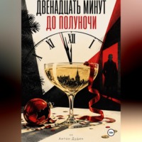 Антон Дудин. Двенадцать минут до полуночи