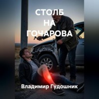 Владимир Савельевич Гудошник. Столб на Гочарова