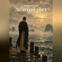 Михаил Морок. Забитый свет
