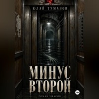 Юлай Туманов. Минус второй