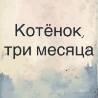 Роман Юрьев. Котёнок, три месяца.