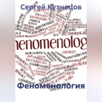 Сергей Александрович Кузнецов. Феноменология
