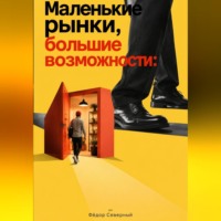 Фёдор Северный. Маленькие рынки, большие возможности: