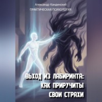 Александр Кандинский. Выход из лабиринта: Как приручить свои страхи