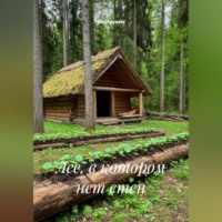 Ominayashi. Лес, в котором нет стен